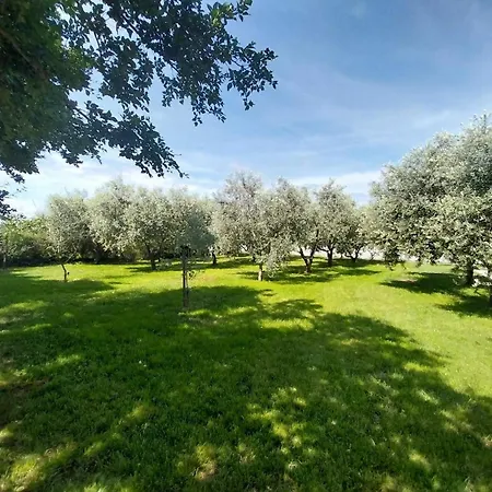Holiday home Hacienda Matea Mit Whirlpool, Pool Und Grill